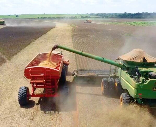 classificação de grãos soja pedro silvestre canal rural mato grosso1