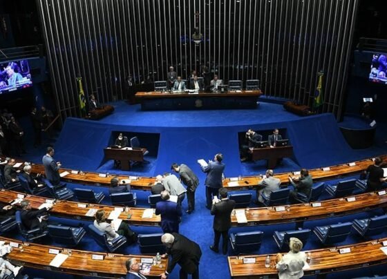 Sessão no Senado Licenciamento Ambiental foto Jonas Pereira Agência Senado