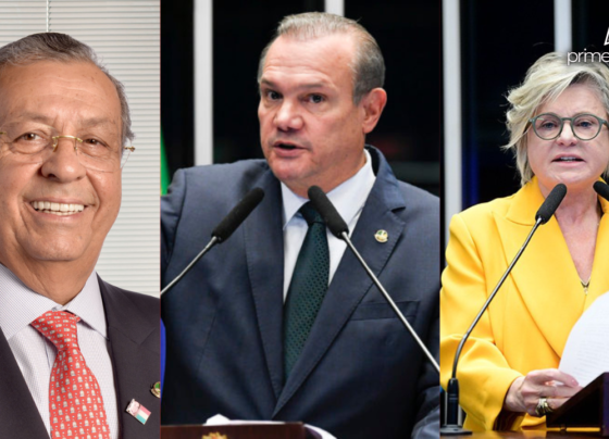 SENADORES MT