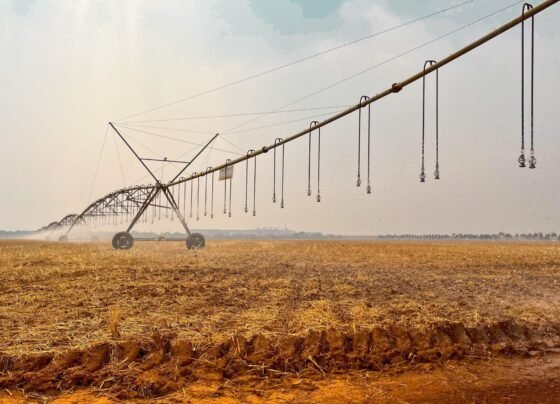 irrigação mt sustentável foto leandro balbino canal rural mato grosso