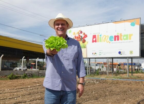 Visita técnica à horta solidária do projeto Alimentar em Várzea Grande Foto Caroline De Vita Mapa