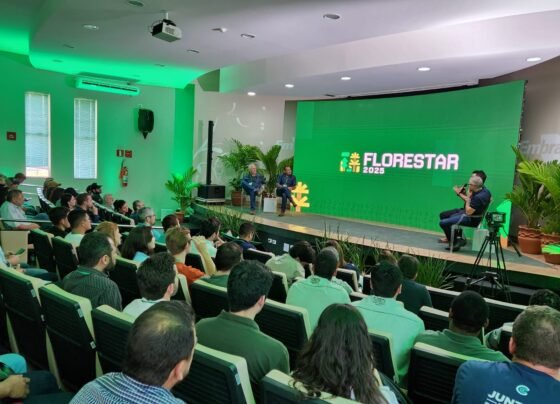 Florestar 2025 Floresta Plantada Arefloresta Biomassa Eucalipto Foto Assessoria