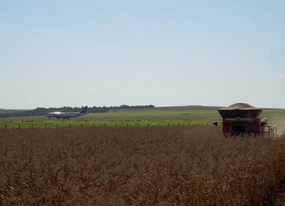 Etanol de milho e SAF o futuro da aviação limpa nasce em Mato Grosso Foto Leandro Balbino Canal Rural Mato Grosso