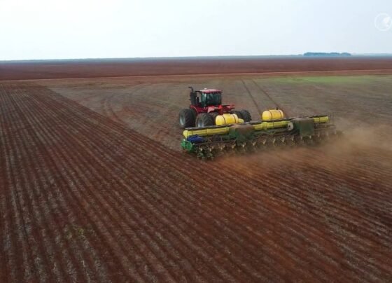 plantio soja patrulheiro agro foto pedro silvestre canal rural mato grosso 3