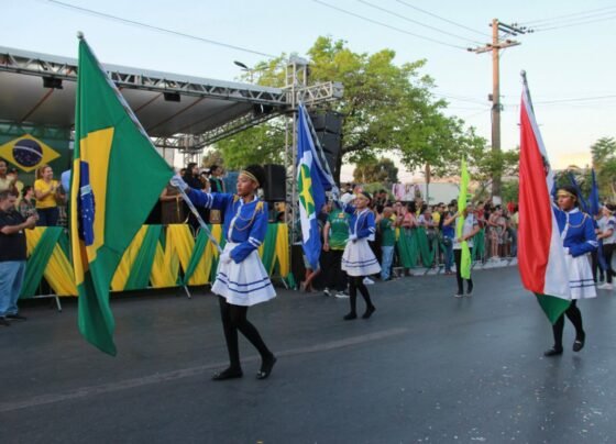desfile vg 1