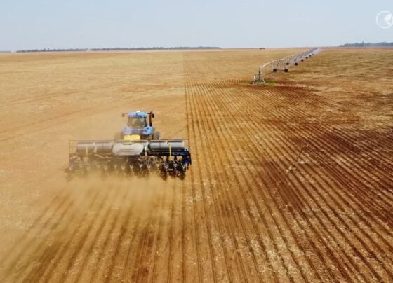 plantio de soja irrigacação foto pedro silvestre canal rural mato grosso1