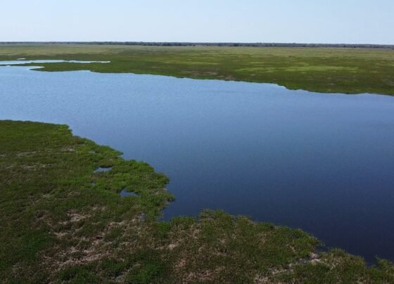 Foto: Israel Baumann