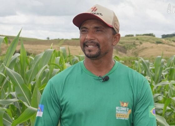 De trabalhador rural a referência a história inspiradora de Nelson no milho Foto Israel Baumann Canal Rural Mato Grosso