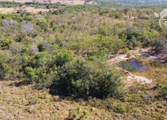 MT Sustentável CAR Digital Hidrografia Foto Israel Baumann Canal Rural Mato Grosso2