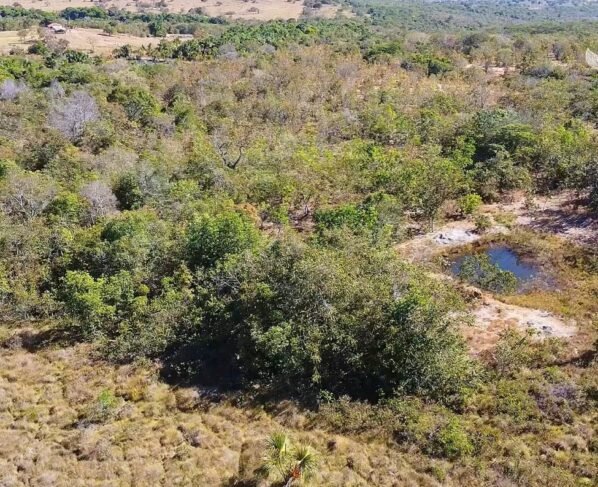 MT Sustentável CAR Digital Hidrografia Foto Israel Baumann Canal Rural Mato Grosso2
