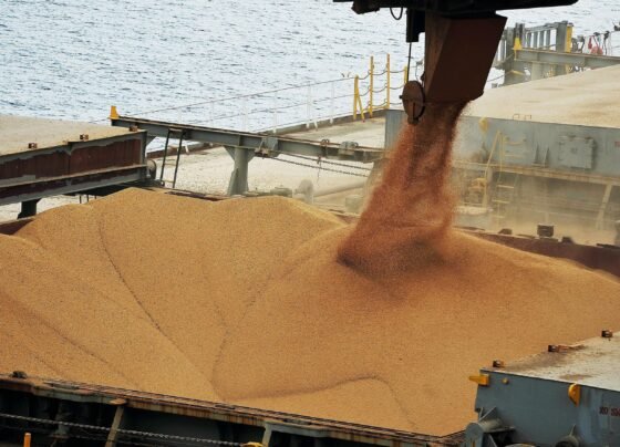 soja, porto, exportação, prêmios,embarque, Brasil