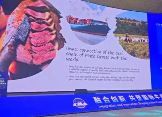 Imac Passaporte Verde China