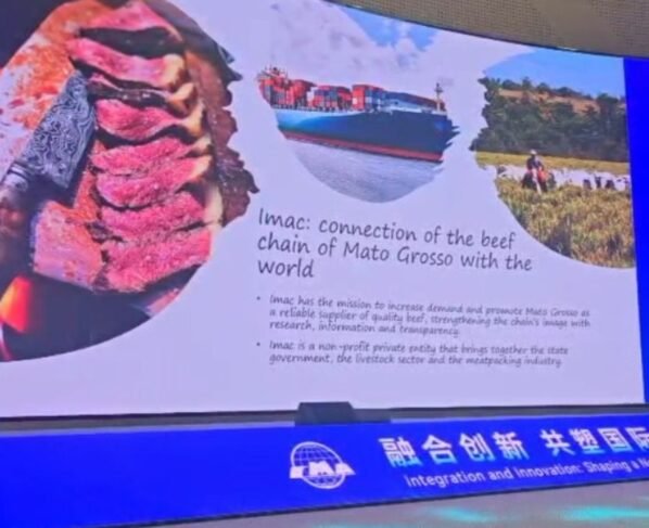 Imac Passaporte Verde China