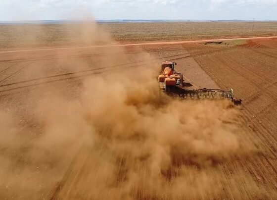 plantio soja falta e chuva foto pedro silvestre canal rural mato grosso