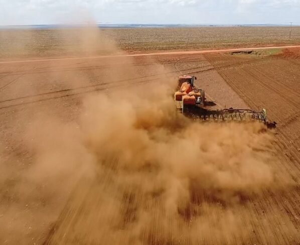 plantio soja falta e chuva foto pedro silvestre canal rural mato grosso