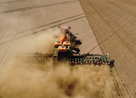 Plantio Soja terra seca jaciara foto pedro Silvestre Canal Rural Mato Grosso2