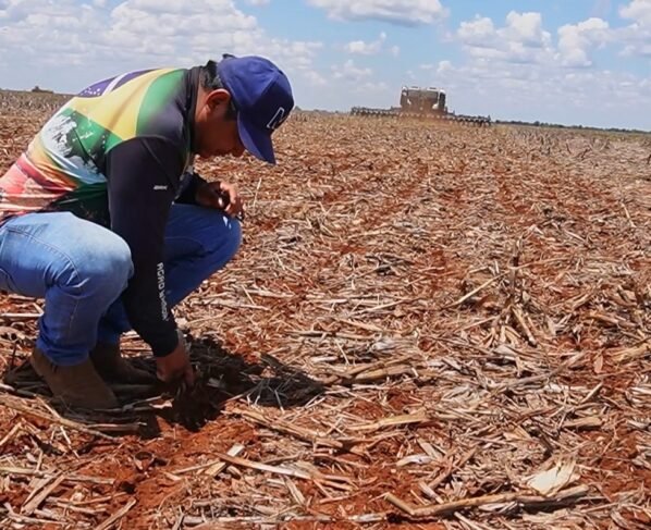 Soja agricultura indígena Coopihanama foto Pedro Silvestre Canal Rural Mato Grosso1