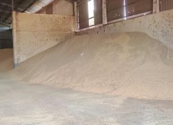 Polícia Militar recupera 116 toneladas de soja furtadas em Rondonópolis e prende suspeito