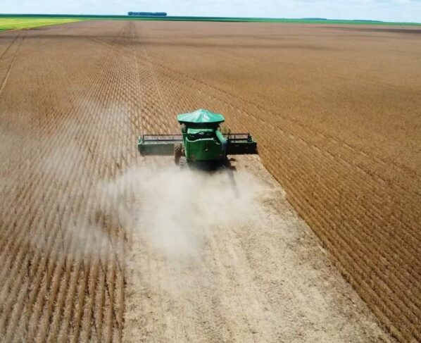 colheita soja sapezal campos de júlio foto pedro silvestre canal rural mato grosso1