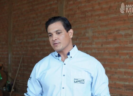 milho verão uberlândia minas gerais foto israel baumann canal rural mato grosso