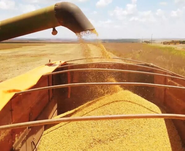 Patrulheiro Agro colheita soja foto pedro silvestre canal rural Mato grosso