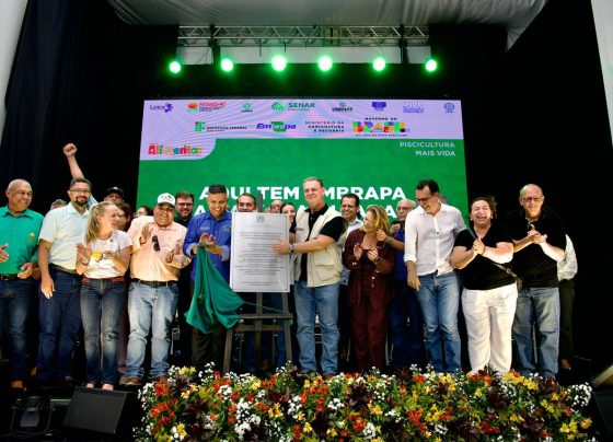 embrapa baixada cuiabana foto Ministério da Agricultura e Pecuária