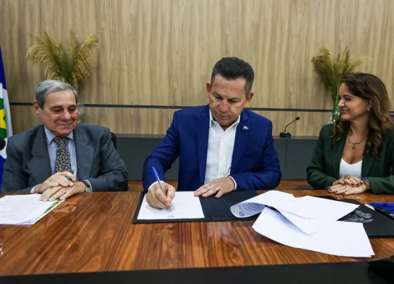 Mato Grosso lança plano para expandir setor florestal e biomassa até 2040 Foto: Christiano Antonucci/Secom-MT