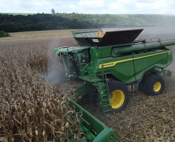 Mais milho foto Canal Rural Mato Grosso