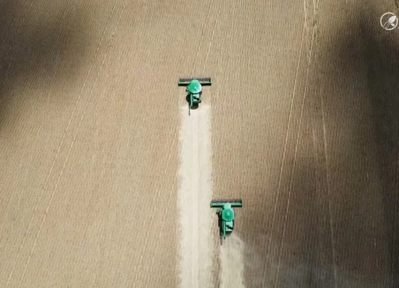 colheita soja sapezal campos de júlio foto pedro silvestre canal rural mato grosso3