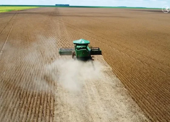 colheita soja sapezal campos de júlio foto pedro silvestre canal rural mato grosso1