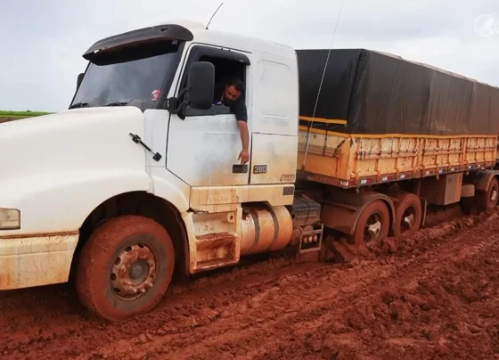 Paranatinga MT-240 Foto Pedro Silvestre Canal Rural Mato Grosso3
